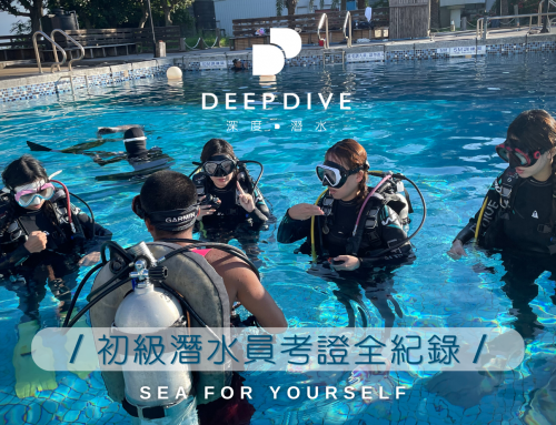 【奔向大海】學潛水就到深度潛水CP值超高♥潛水度假中心(初級潛水員考證全紀錄)