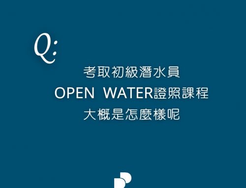 如何考取初級潛水證照呢？（懶人包）