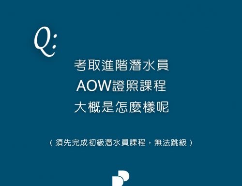 如何考取進階潛水證照呢？（懶人包）