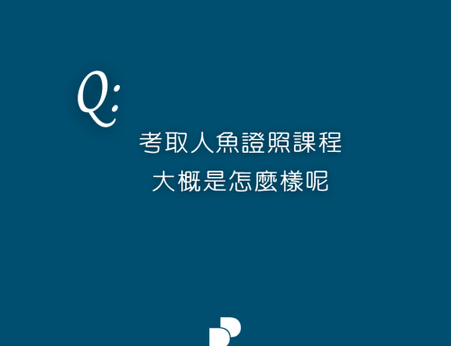 美人魚潛水怎麼考？(懶人包)