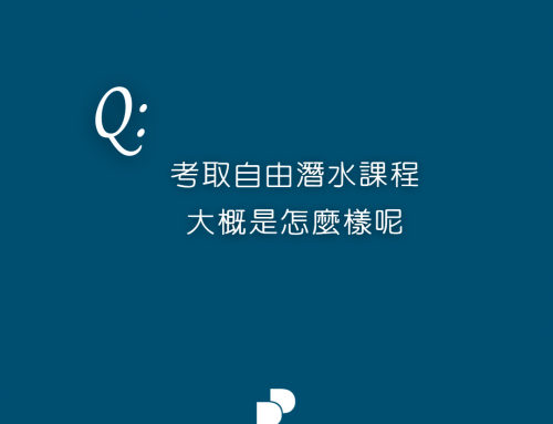 自由潛水怎麼考？(懶人包)