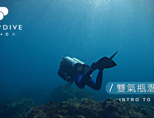 深度潛水【TDI (Intro To Tech)雙氣瓶課程】泳池篇
