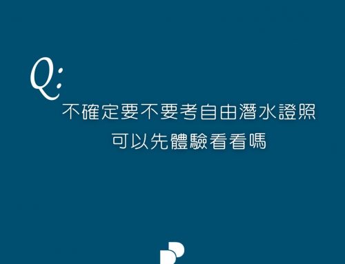 體驗自由潛水懶人包